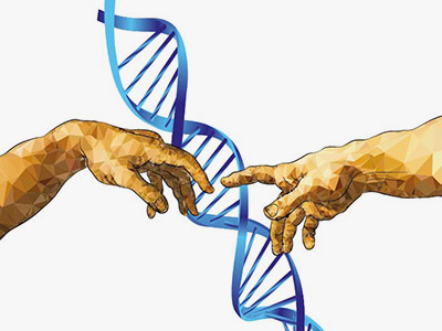 Human hands and DNA Helix (Graphic)