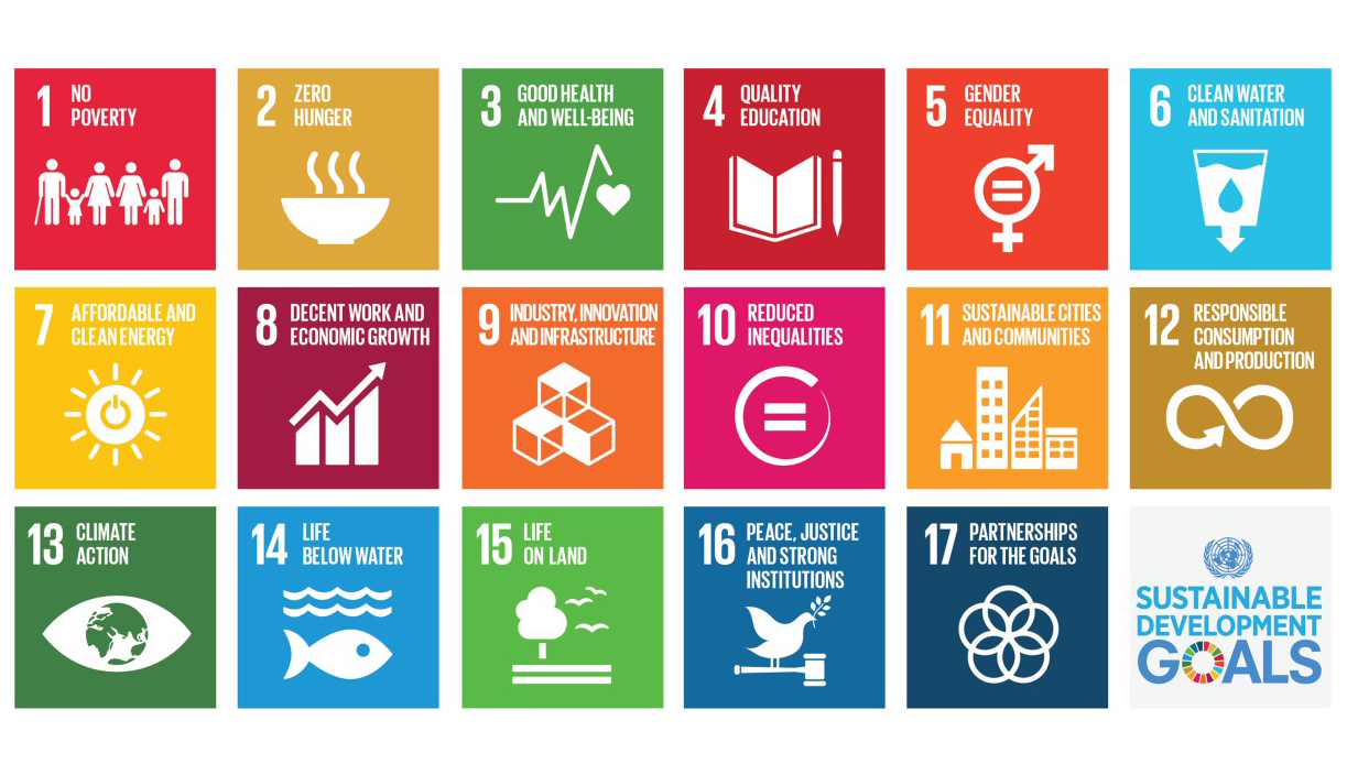 SDG Sustainable Development Goals