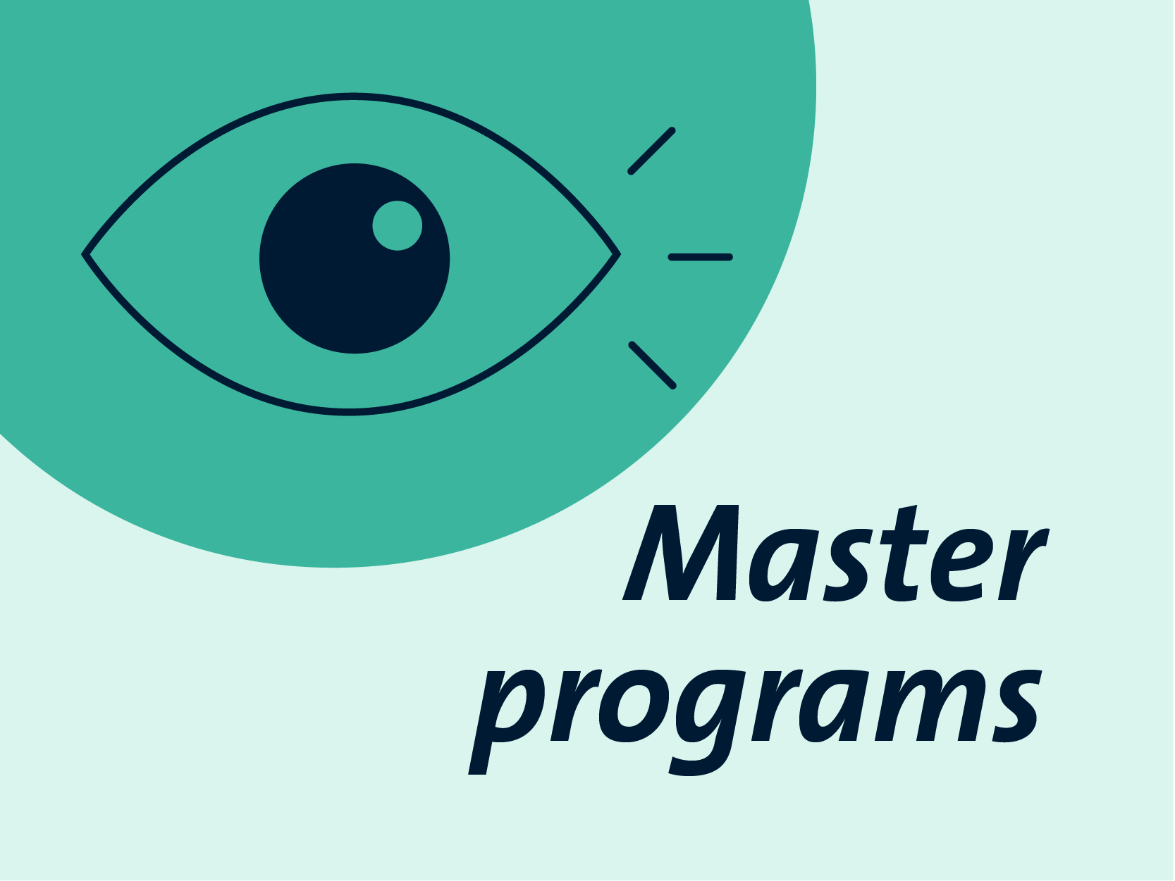 Visual Master programs