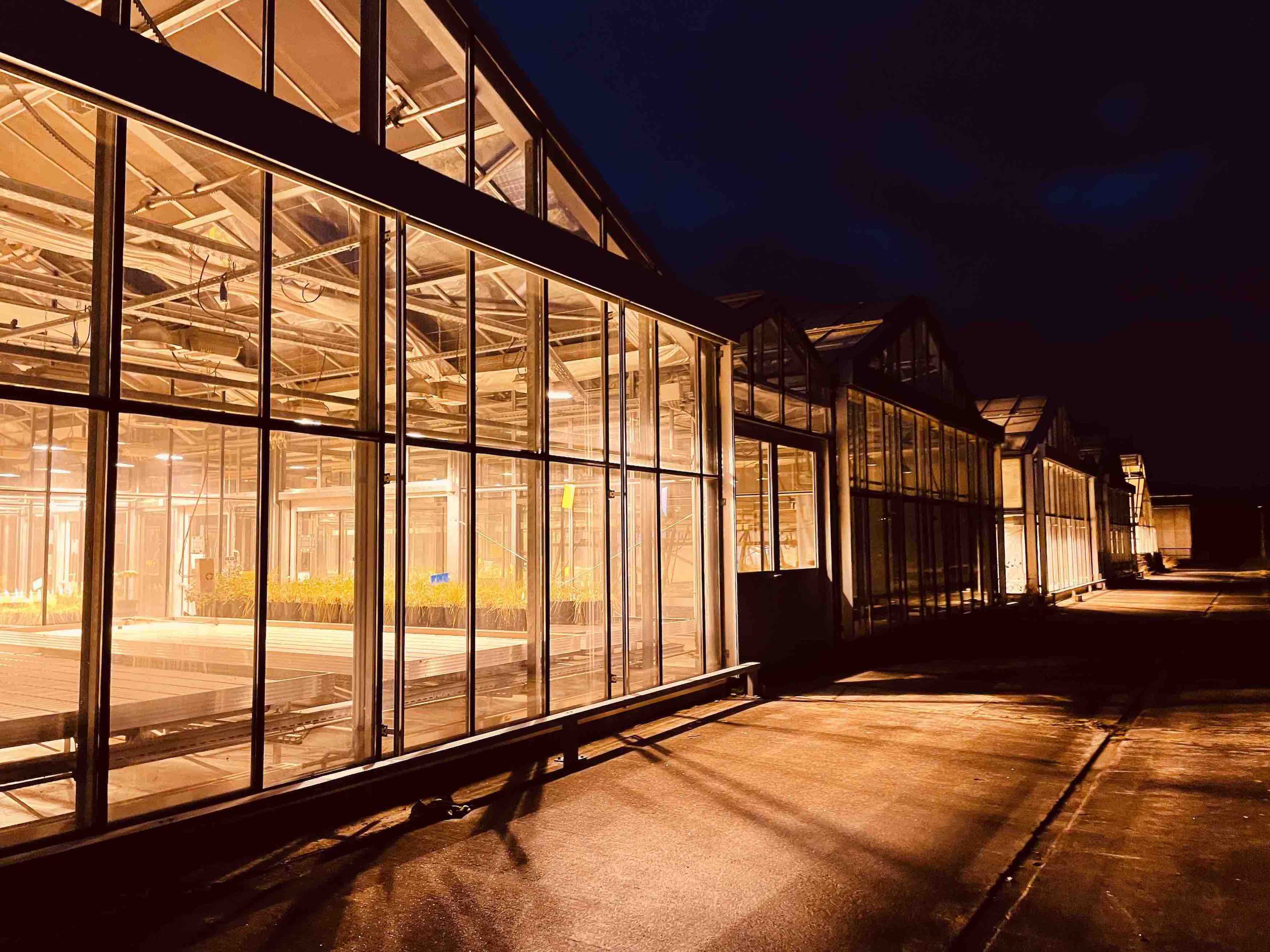 a photo of nocturnal greenhouses