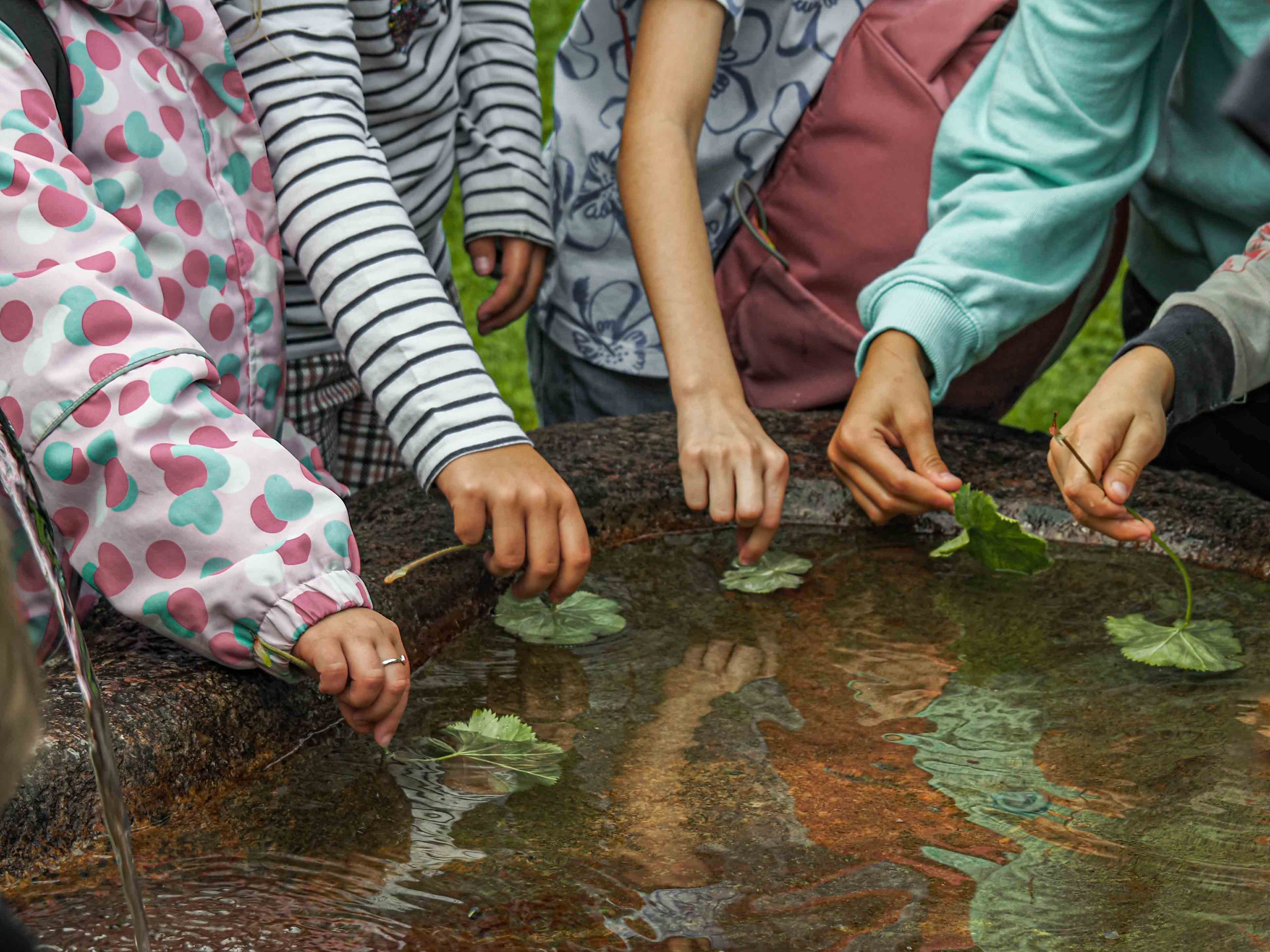 a photo of lined up hands of children close to water surface