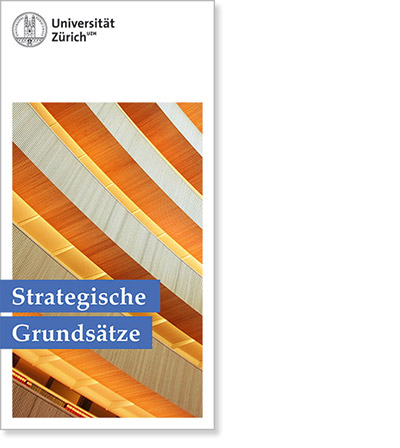 Strategische Grundsätze (Cover)