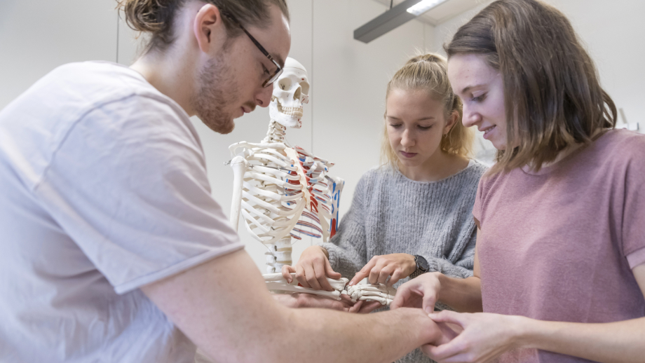 Studierende untersuchen ein Skelett