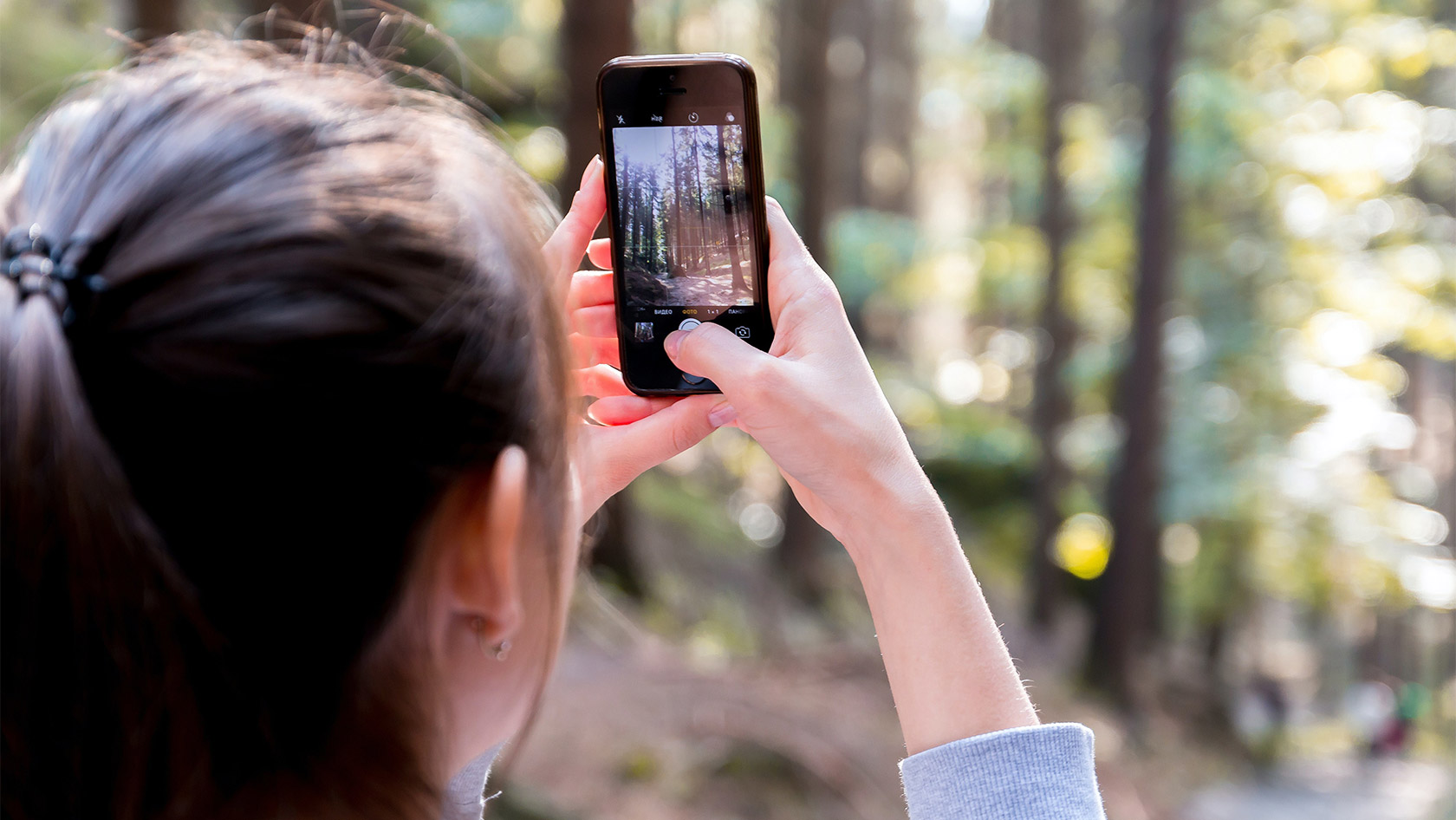 Person macht eine Aufnahme vom Wald mit dem Mobile