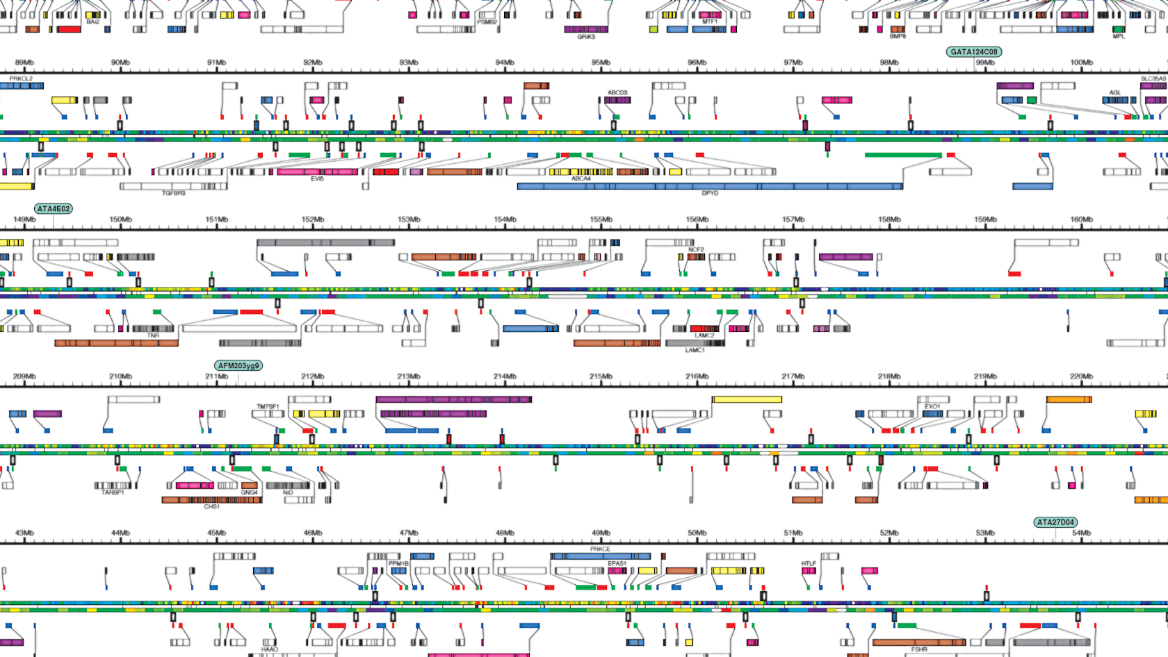 Grafik Protein Analyse