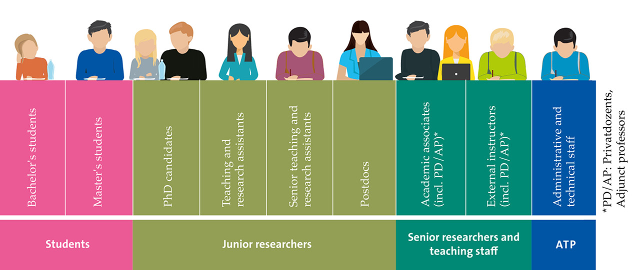 Visual of the organization of the representative bodies