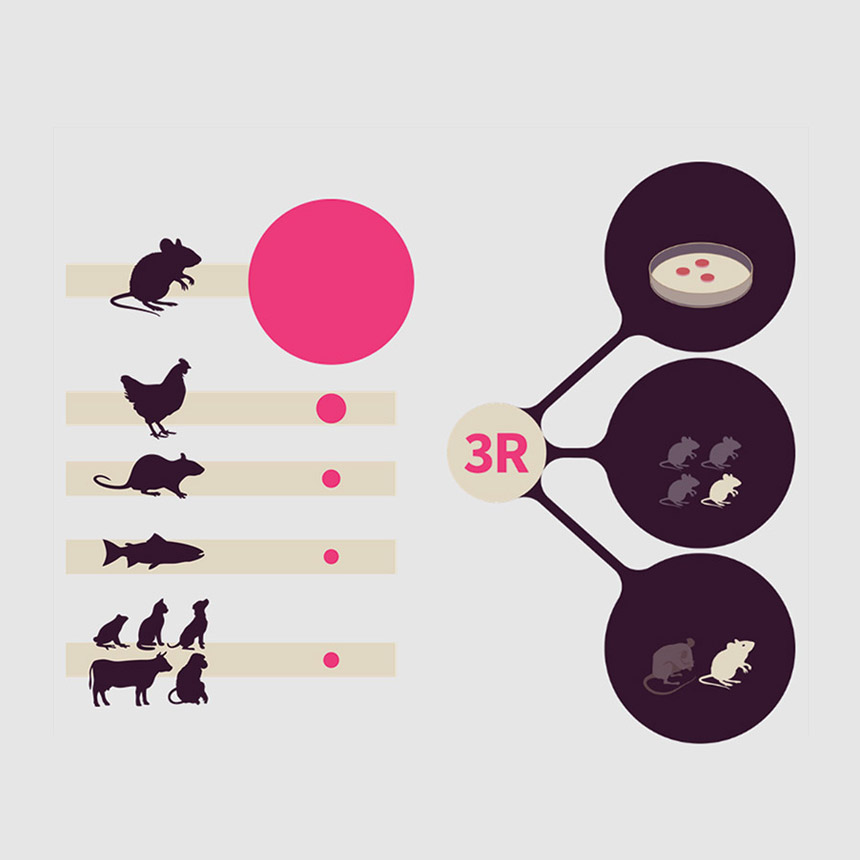 Visualization: Research involving animals