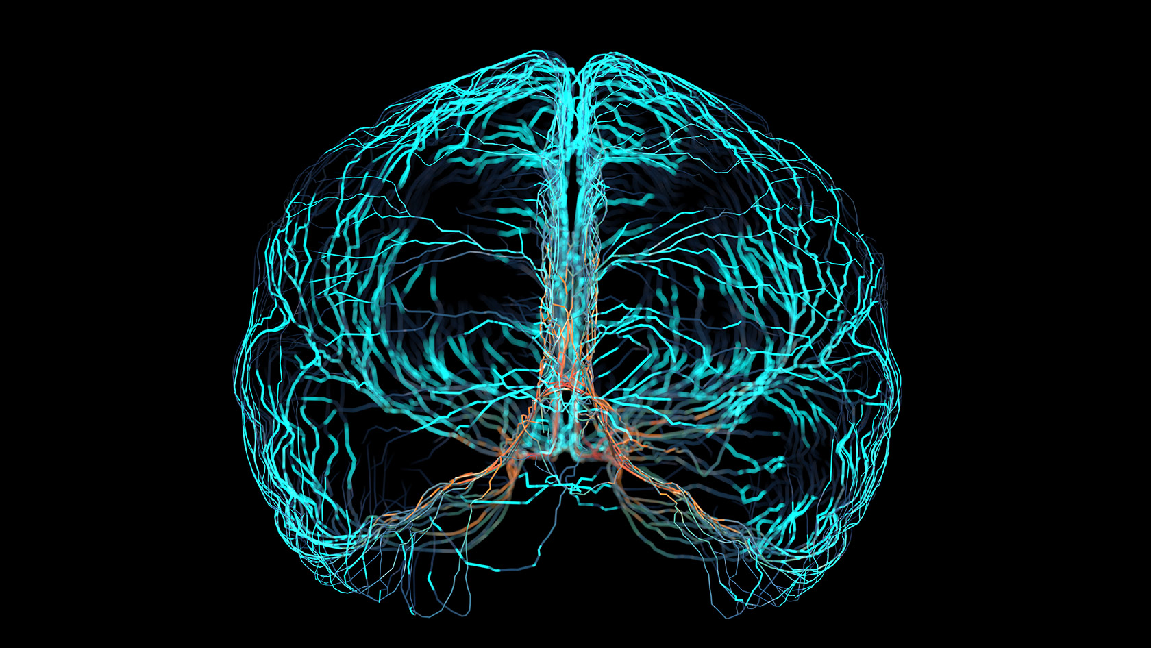 Visualization of a brain