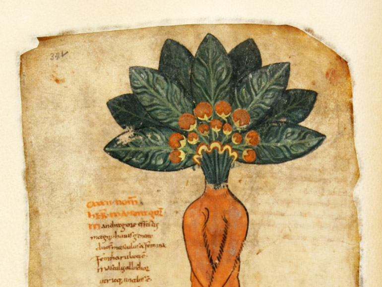 Abbildung aus einer Handschrift aus dem 9. Jahrhundert