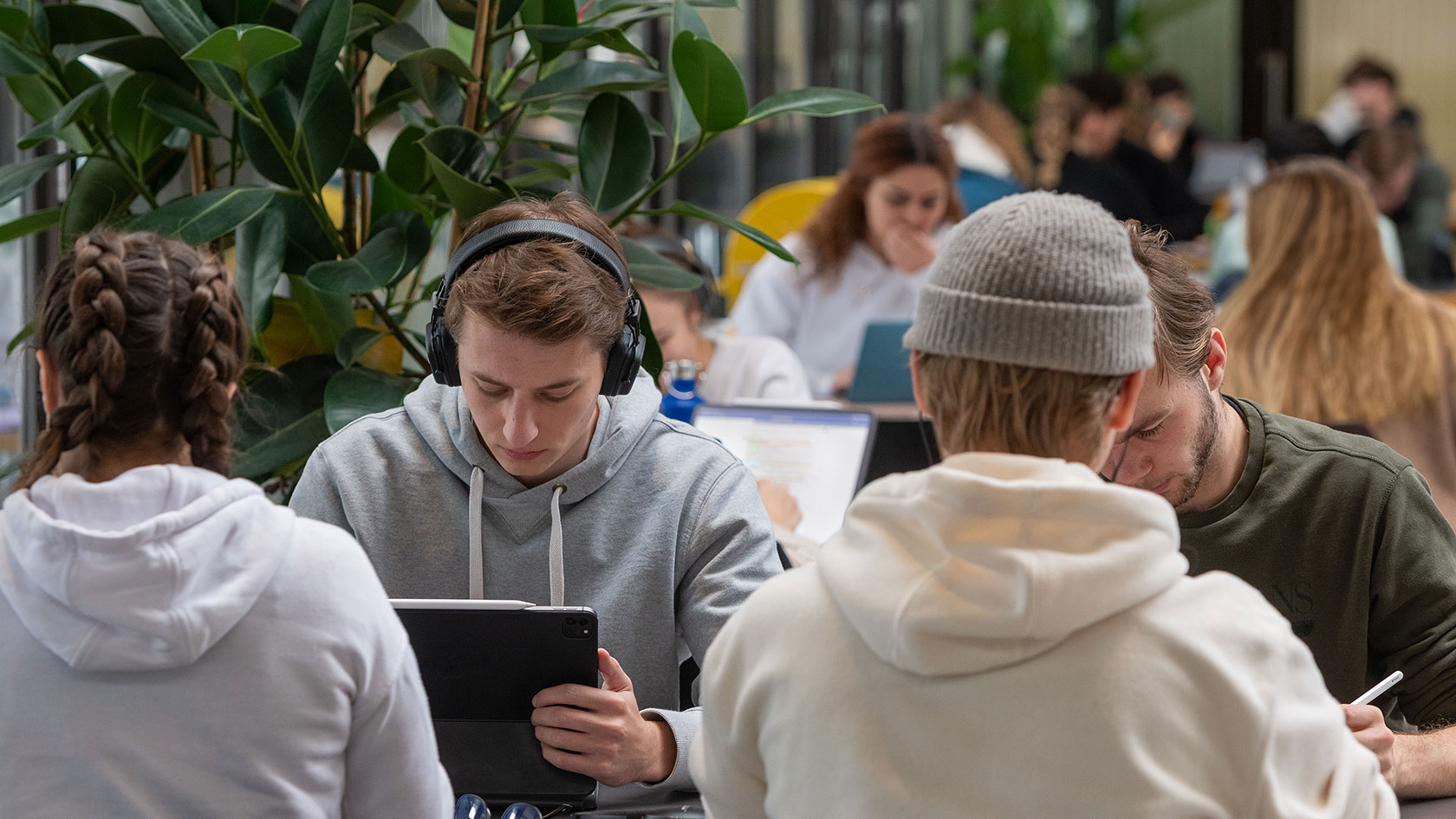 Studierende am Lernen