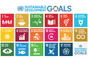 UN Sustainability Goals